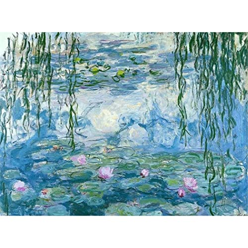 YSCOLOR Diamant Painting 5D Diy Diamant Malerei Monet Seerosen Malen Nach Zahlen Kits Für Erwachsene Und Kinder Diamantstickerei Kunsthandwerk Strass 30x40cm YSCOLOR Diamant Painting 5D Diy Diamant Malerei Monet Seerosen Malen Nach Zahlen Kits Für Erwachsene Und Kinder Diamantstickerei Kunsthandwerk Strass 30x40cm von YSCOLOR
