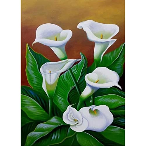 YSCOLOR Diamant Painting Calla Lily Flowers 5D Diamant Malerei Kits Full Drill Diy Diamond Art Stitch 30x40cm YSCOLOR Diamant Painting Calla Lily Flowers 5D Diamant Malerei Kits Full Drill Diy Diamond Art Stitch 30x40cm von YSCOLOR