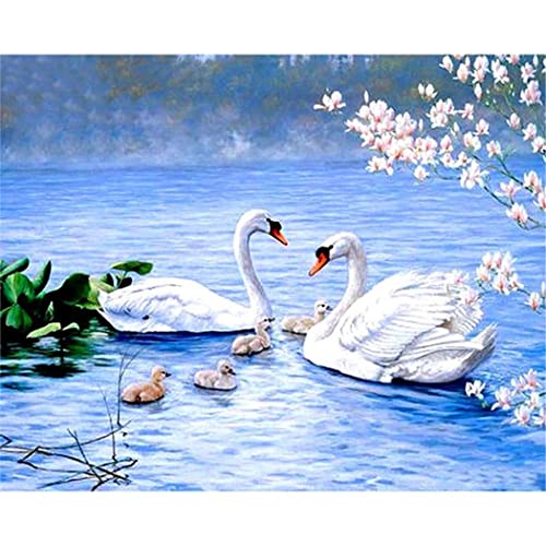YSCOLOR Diamant Painting Diamant Malerei 5D Diy Diamond Picture Art Craft Strass Von Digital Kit White Swan Family 30x40cm von YSCOLOR