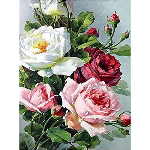YSCOLOR Diamant Painting Diamant Malerei Diy 5D Kits Für Erwachsene Romantische Rose Diamond Art Kits Round Full Drill 30x40cm YSCOLOR Diamant Painting Diamant Malerei Diy 5D Kits Für Erwachsene Romantische Rose Diamond Art Kits Round Full Drill 30x40cm von YSCOLOR