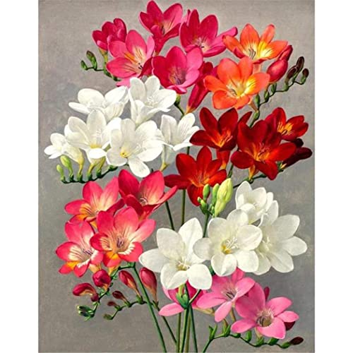 YSCOLOR Diamant Painting Diamant Malerei Freesie Bunte Blumen Nach Zahlen Kits Diy 5D Diamond Art Full Drill Strasssteine 30x40cm von YSCOLOR