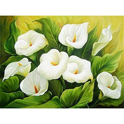 YSCOLOR Diamant Painting Diamantstickerei Diy 5D Diamant Malerei Kits Calla Lily Für Kinder Erwachsene Full Drill Strass Stickerei Diamond Art 30x40cm YSCOLOR Diamant Painting Diamantstickerei Diy 5D Diamant Malerei Kits Calla Lily Für Kinder Erwachsene Full Drill Strass Stickerei Diamond Art 30x40cm von YSCOLOR