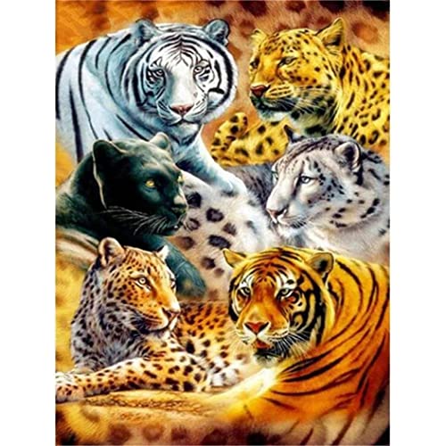 YSCOLOR Diamant Painting Diy 5D Diamond Art Kits Für Anfänger Full Round Drill Tiger Leopard Diamant Malerei Diamond Embroidery 30x40cm von YSCOLOR