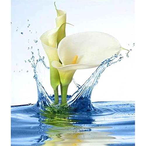 YSCOLOR Diamant Painting Diy 5D Diamond Art Kits Für Erwachsene Anfänger Full Drill Calla Lily Diamant Malerei Diamond Embroidery 30x40cm von YSCOLOR