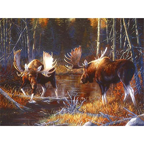 YSCOLOR Diamant Painting Diy 5D Elch Diamant Malerei Für Erwachsene Rund Voller Bohrer Wildlife Diamond Art Kit Craft 30x40cm von YSCOLOR