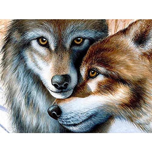 YSCOLOR Diamant Painting Diy Diamond Art Set Adult 5D Diamant Malerei Full Round Diamond Wolf Full Diamond Home Decoration 30x40cm von YSCOLOR