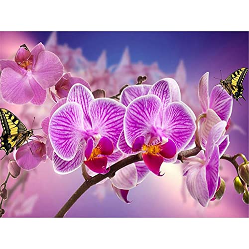 YSCOLOR Diamant Painting Rosa Blume Runde Volle 5D Diamant Stickerei Diamant Orchidee Schmetterling Bild Von Strass Kreuzstich Kits Diamant Mosaik 30X40Cm YSCOLOR Diamant Painting Rosa Blume Runde Volle 5D Diamant Stickerei Diamant Orchidee Schmetterling Bild Von Strass Kreuzstich Kits Diamant Mosaik 30X40Cm von YSCOLOR