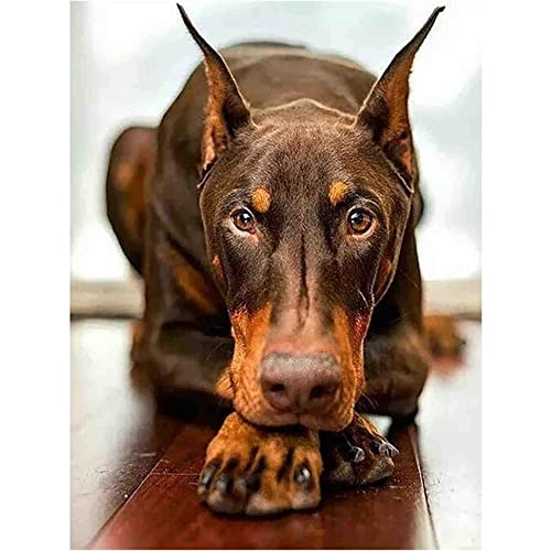 YSCOLOR Diamant Painting Rundes Diamant Malerei Dobermann Hund Diy Strass Stickerei Kunst Erwachsene Nach Zahlen Malen Bastelset Heimdekoration Geschenke 30x40cm YSCOLOR Diamant Painting Rundes Diamant Malerei Dobermann Hund Diy Strass Stickerei Kunst Erwachsene Nach Zahlen Malen Bastelset Heimdekoration Geschenke 30x40cm von YSCOLOR