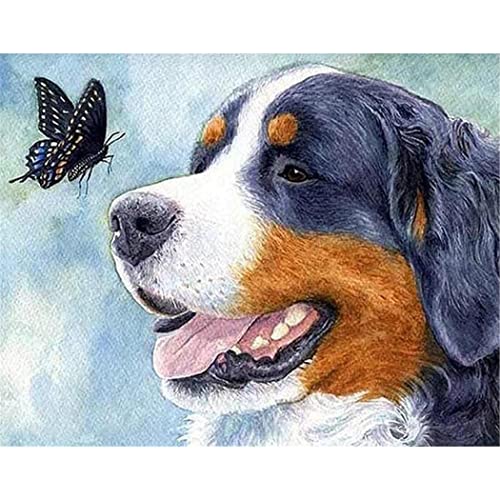 YSCOLOR Diamant Painting Schweizer Berner Sennenhund Diamant Malerei Kits Diy Paint With Full Drill Round Diamond Art Embroidery Kits Wall Decoration 30x40cm YSCOLOR Diamant Painting Schweizer Berner Sennenhund Diamant Malerei Kits Diy Paint With Full Drill Round Diamond Art Embroidery Kits Wall Decoration 30x40cm von YSCOLOR
