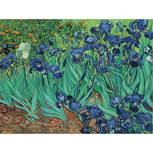 YSCOLOR Diamant Painting Volle Runde Diamant Stickerei Van Gogh Iris 5D Diamant Mosaik Kreuzstich Picutre Strass Home Decor 30X40Cm von YSCOLOR