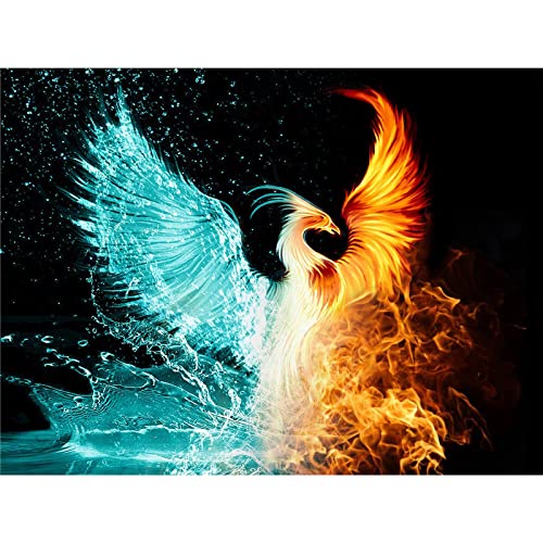 YSCOLOR Diamond Painting Diamond Painting Diamant Wasser und Feuer Phoenix DIY Malerei Diamant Kreuzstich Stickerei Dekoration zu Hause Traditionell Chinesisch Phoenix 30 x 40 cm von YSCOLOR