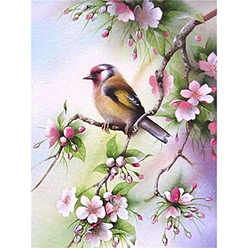 YSCOLOR Diamond Painting Perlenstickerei Diamant Vögel Blumen 5D Full Diamond Painting 2019 Bild Strass Kreuzstich 30 x 40 cm YSCOLOR Diamond Painting Perlenstickerei Diamant Vögel Blumen 5D Full Diamond Painting 2019 Bild Strass Kreuzstich 30 x 40 cm von YSCOLOR