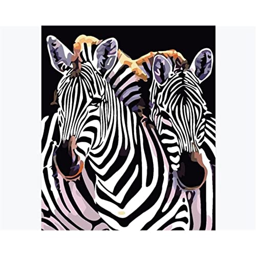 YSCOLOR Diy Ölgemälde Nach Zahlen Kits Für Erwachsene Kinder Anfänger Zebra Malen Nach Zahlen Auf Leinwand Malen Nach Zahlen Für Erwachsene 40X50cm von YSCOLOR