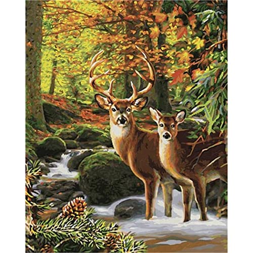 YSCOLOR Hirsch Im Wald Diy Malen Nach Zahlen Tier Malen Nach Zahlen Leinwandbild Wandkunstbild Für Wohnkultur 40X50cm YSCOLOR Hirsch Im Wald Diy Malen Nach Zahlen Tier Malen Nach Zahlen Leinwandbild Wandkunstbild Für Wohnkultur 40X50cm von YSCOLOR