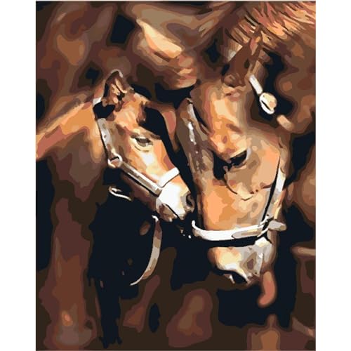 YSCOLOR Malen Nach Zahlen Diy Acrylmalset Für Kinder Und Erwachsene Anfänger Pferd Und Liebe 40X50cm von YSCOLOR