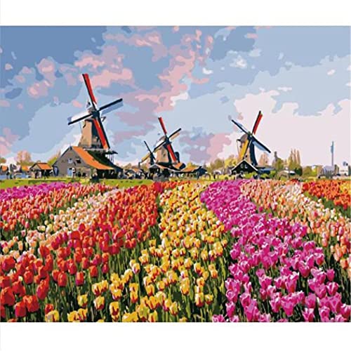 YSCOLOR Malen Nach Zahlen Für Erwachsene Kinder Windmühlen In Den Niederlanden Malen Nach Zahlen Für Anfänger Diy Erwachsene Kinder Malen Nach Zahlen Kits 40X50cm YSCOLOR Malen Nach Zahlen Für Erwachsene Kinder Windmühlen In Den Niederlanden Malen Nach Zahlen Für Anfänger Diy Erwachsene Kinder Malen Nach Zahlen Kits 40X50cm von YSCOLOR