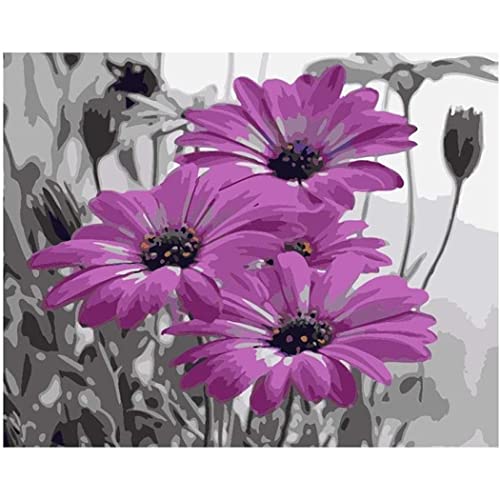 YSCOLOR Schöne Lila Gerbera Blume Pflanze, Kit Für Erwachsene Anfänger Diy Leinwand Malen Nach Zahlen Acryl Ölgemälde Kunsthandwerk Für Zuhause Wanddeko 40X50cm YSCOLOR Schöne Lila Gerbera Blume Pflanze, Kit Für Erwachsene Anfänger Diy Leinwand Malen Nach Zahlen Acryl Ölgemälde Kunsthandwerk Für Zuhause Wanddeko 40X50cm von YSCOLOR