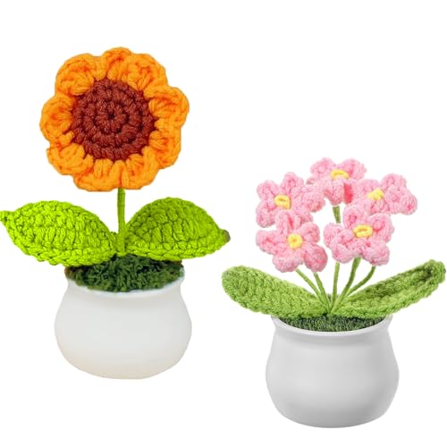2 Stück Häkelblumen, gestrickte Blumen, handgehäkelte Sonnenblume, Vergissmeinnicht Blumenkorb zum Dekorieren von Räumen, Heimbüro, Autos, Geschenk für Liebhaber oder Familie von YTPAFK
