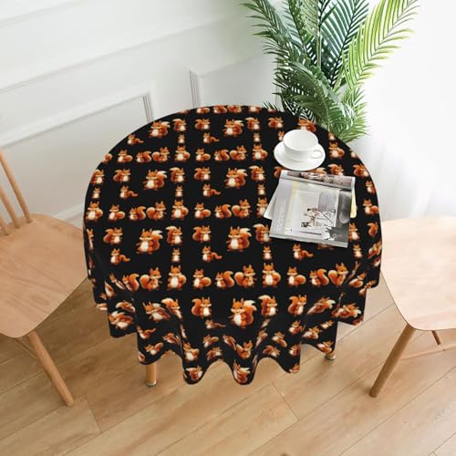 YTUOPWE Gorp Runde dekorative Tischdecke mit Eichhörnchen-Motiv, 152,4 cm, für Innen- und Außenbereich, Partys, Hochzeiten YTUOPWE Gorp Runde dekorative Tischdecke mit Eichhörnchen-Motiv, 152,4 cm, für Innen- und Außenbereich, Partys, Hochzeiten von YTUOPWE