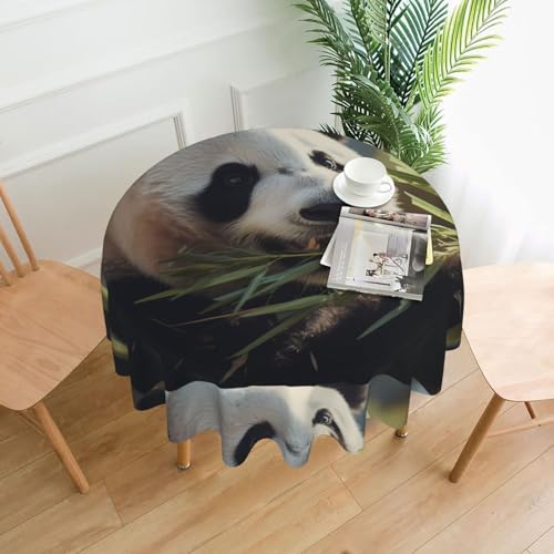 YTUOPWE Runde dekorative Tischdecke, Motiv: Panda, Bambus-Muster, 152,4 cm, für Innen- und Außenbereich, Partys, Hochzeiten YTUOPWE Runde dekorative Tischdecke, Motiv: Panda, Bambus-Muster, 152,4 cm, für Innen- und Außenbereich, Partys, Hochzeiten von YTUOPWE