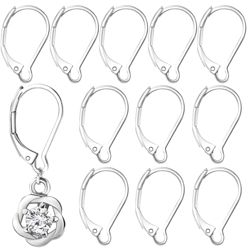 YUANYIJIA Ohrringhaken mit Klappbügel, hypoallergen, französische Ohrdraht, Edelstahl-Ohrringhaken für Frauen, DIY-Handwerk, Schmuckherstellung, 12 Stück von YUANYIJIA