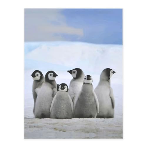 Junge Pinguine mit Schnee-Druck, modische Kristall-Aufkleber, Bastelkarten, Dekorationen für Wasserflasche, Laptop, Gepäck, Telefon, Gitarre Junge Pinguine mit Schnee-Druck, modische Kristall-Aufkleber, Bastelkarten, Dekorationen für Wasserflasche, Laptop, Gepäck, Telefon, Gitarre von YUBVCF