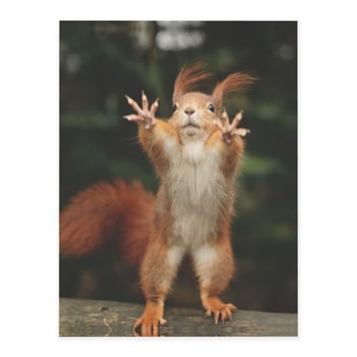 Lustiger Eichhörnchen-Druck, modische Kristall-Aufkleber, Bastelkarten, Dekorationen für Wasserflasche, Laptop, Gepäck, Telefon, Gitarre Lustiger Eichhörnchen-Druck, modische Kristall-Aufkleber, Bastelkarten, Dekorationen für Wasserflasche, Laptop, Gepäck, Telefon, Gitarre von YUBVCF
