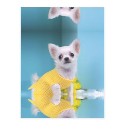 Niedlicher Chihuahua-Druck, modische Kristall-Aufkleber, Bastelkarten, Dekorationen für Wasserflasche, Laptop, Gepäck, Telefon, Gitarre Niedlicher Chihuahua-Druck, modische Kristall-Aufkleber, Bastelkarten, Dekorationen für Wasserflasche, Laptop, Gepäck, Telefon, Gitarre von YUBVCF