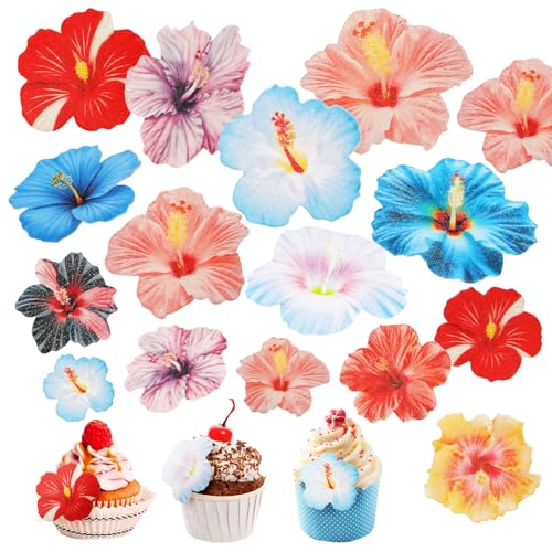 YUFFQOPC 60 Stück Essbare Blumen Für Torte, Essbare Tortendeko Blumen, Bunt Hibiskusblume Cupcake Topper Esspapier Für Hochzeit Geburtstag Jubiläum Party YUFFQOPC 60 Stück Essbare Blumen Für Torte, Essbare Tortendeko Blumen, Bunt Hibiskusblume Cupcake Topper Esspapier Für Hochzeit Geburtstag Jubiläum Party von YUFFQOPC