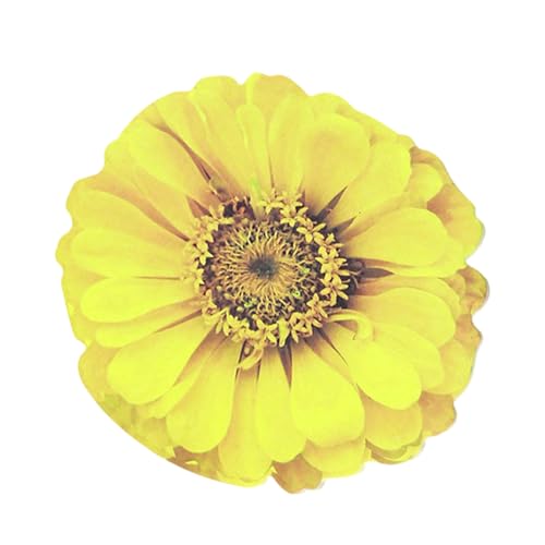 Notizblock in Blumenform, selbstklebend, selbstklebend, 25 Blatt Notizblock in Blumenform, selbstklebend, selbstklebend, 25 Blatt von YUGSHNKFC