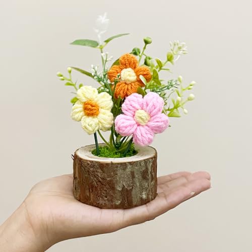YUNBIAOSEN Handgefertigte Häkelblumen für Lehrer, Büro, Schreibtisch, niedliche Strickblume für Auto-Armaturenbrett/Heimdekoration, langlebige gehäkelte Puffs, Geschenke für Frauen, Mutter, Freunde YUNBIAOSEN Handgefertigte Häkelblumen für Lehrer, Büro, Schreibtisch, niedliche Strickblume für Auto-Armaturenbrett/Heimdekoration, langlebige gehäkelte Puffs, Geschenke für Frauen, Mutter, Freunde von YUNBIAOSEN