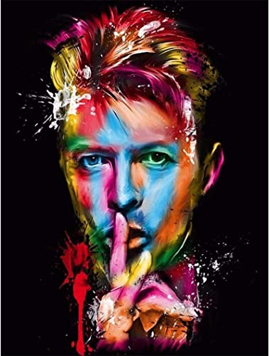 YUNLINZI DIY Farbe nach Zahlen für Erwachsene Anfänger David Bowie farbige Porträts 40x50 cm Ölgemälde mit Pinseln und Acrylpigment Spielzeug handgemaltes Geschenk Wandkunst Dekor -mit Rahmen von YUNLINZI