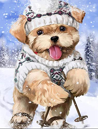 YUNLINZI DIY Malen nach Zahlen Ski fahrender Hund Handgemalte Kits Zeichnung Leinwand Bilder nach Zahlen Tier Porträt Wohnkultur Geschenk 40x50cm -ohne Rahmen YUNLINZI DIY Malen nach Zahlen Ski fahrender Hund Handgemalte Kits Zeichnung Leinwand Bilder nach Zahlen Tier Porträt Wohnkultur Geschenk 40x50cm -ohne Rahmen von YUNLINZI