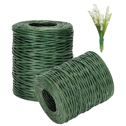 200m Papierdraht, Breit 2mm Papierseil für Kraftpapierverpackungen, Papierkordel Papierdraht zum Basteln Floristik, Weihnachten, Geschenk Dekoration und Heimwerken, Ohne Eisendraht, Grüner 200m Papierdraht, Breit 2mm Papierseil für Kraftpapierverpackungen, Papierkordel Papierdraht zum Basteln Floristik, Weihnachten, Geschenk Dekoration und Heimwerken, Ohne Eisendraht, Grüner von YUNXCNA