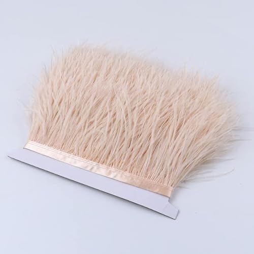 YUWEN 10 Meter/Menge Straußenfedern Band 8-10 cm Band Kostüm Schwarz Weiß Straußenfeder Trim Fringe Weiß Handwerk Zubehör YUWEN 10 Meter/Menge Straußenfedern Band 8-10 cm Band Kostüm Schwarz Weiß Straußenfeder Trim Fringe Weiß Handwerk Zubehör von YUWEN