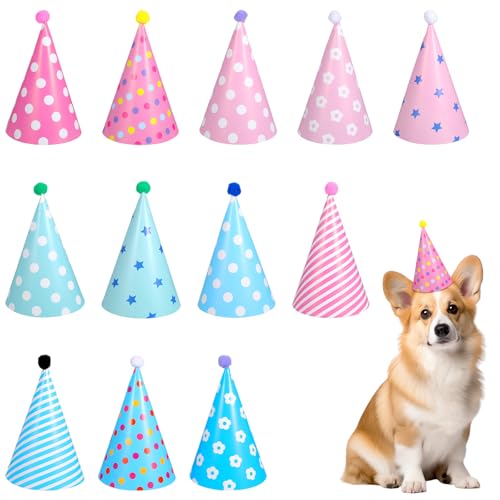 YUXIANLB 12 Stück Partyhüte Geburtstag Set Partyhüten mit Pompon Papier Krone Hut Party Kegel Hüte Geburtstag Tröte Partyhüte Geburtstagsfeier Dekoration Set für Familienfeiern Kegel Party Hüte YUXIANLB 12 Stück Partyhüte Geburtstag Set Partyhüten mit Pompon Papier Krone Hut Party Kegel Hüte Geburtstag Tröte Partyhüte Geburtstagsfeier Dekoration Set für Familienfeiern Kegel Party Hüte von YUXIANLB