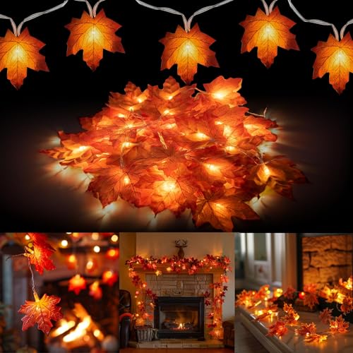 YUYWWAN Herbst Ahornblatt Lichterkette, 3 Meter 20 LED Herbstdeko Lichterketten mit Herbstblätter, Herbstliche Lichterkette für Innen und Außen Herbstpartys Halloween Thanksgiving Herbsternte Deko YUYWWAN Herbst Ahornblatt Lichterkette, 3 Meter 20 LED Herbstdeko Lichterketten mit Herbstblätter, Herbstliche Lichterkette für Innen und Außen Herbstpartys Halloween Thanksgiving Herbsternte Deko von YUYWWAN
