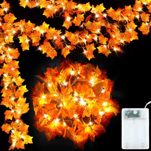 YUYWWAN Herbst Ahornblatt Lichterkette, 3 Meter 20 LED Herbstdeko Lichterketten mit Herbstblätter, Herbstliche Lichterkette für Innen und Außen Herbstpartys Halloween Thanksgiving Herbsternte Deko YUYWWAN Herbst Ahornblatt Lichterkette, 3 Meter 20 LED Herbstdeko Lichterketten mit Herbstblätter, Herbstliche Lichterkette für Innen und Außen Herbstpartys Halloween Thanksgiving Herbsternte Deko von YUYWWAN