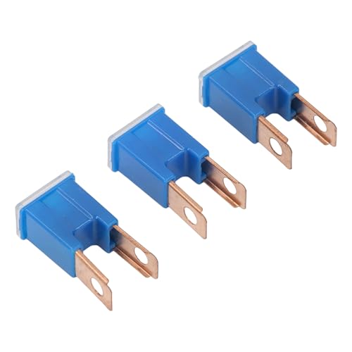 YWBL-WH Gerade Männliche Klemme 100 -Ampere Automobilpatrone Langsame Blose -Fuze für Ersatz, 10pcs Pack für Auto oder LKW von YWBL-WH
