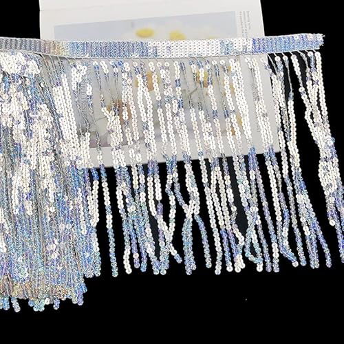 YYCRAFT Hologramm-Pailletten-Fransenborte für Ballsaal, Latein, Jazz, Westernkleidung, Show-Shirts, Festzug, Cosplay-Kostüme, Meterware (9,1 m, Silber) von YYCRAFT