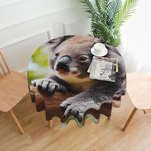 YYHHAOFA Runde dekorative Tischdecke, 152,4 cm, Motiv "Ein kleines Koala-Bild, für den Innen- und Außenbereich, auf runden Tischen wie Couchtischen, Esstischen und Bauernhoftischen YYHHAOFA Runde dekorative Tischdecke, 152,4 cm, Motiv "Ein kleines Koala-Bild, für den Innen- und Außenbereich, auf runden Tischen wie Couchtischen, Esstischen und Bauernhoftischen von YYHHAOFA