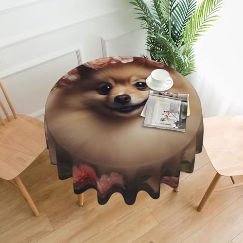 YYHHAOFA Runde dekorative Tischdecke, 152,4 cm, Motiv "Pomeranian and Flowers" für den Innen- und Außenbereich, auf runden Tischen wie Couchtischen, Esstischen und Bauernhoftischen von YYHHAOFA