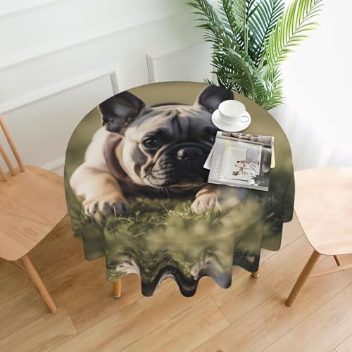 YYHHAOFA Runde dekorative Tischdecke, 152,4 cm, Motiv: Französische Bulldogge, niedliches Bild für den Innen- und Außenbereich, auf runden Tischen wie Couchtischen, Esstischen und Bauernhoftischen YYHHAOFA Runde dekorative Tischdecke, 152,4 cm, Motiv: Französische Bulldogge, niedliches Bild für den Innen- und Außenbereich, auf runden Tischen wie Couchtischen, Esstischen und Bauernhoftischen von YYHHAOFA