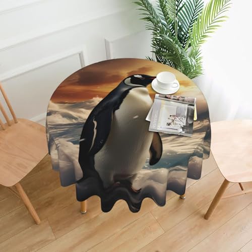 YYHHAOFA Runde dekorative Tischdecke, 152,4 cm, Motiv: Pinguin, Meer, für den Innen- und Außenbereich, auf runden Tischen wie Couchtischen, Esstischen und Bauernhoftischen YYHHAOFA Runde dekorative Tischdecke, 152,4 cm, Motiv: Pinguin, Meer, für den Innen- und Außenbereich, auf runden Tischen wie Couchtischen, Esstischen und Bauernhoftischen von YYHHAOFA