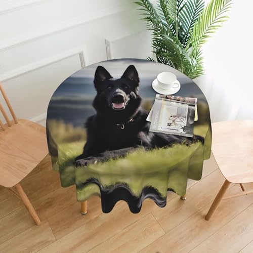 YYHHAOFA Runde dekorative Tischdecke, Motiv: Deutscher Schäferhund, für den Innen- und Außenbereich, auf runden Tischen wie Couchtischen, Esstischen und Bauernhoftischen, 152,4 cm, Schwarz YYHHAOFA Runde dekorative Tischdecke, Motiv: Deutscher Schäferhund, für den Innen- und Außenbereich, auf runden Tischen wie Couchtischen, Esstischen und Bauernhoftischen, 152,4 cm, Schwarz von YYHHAOFA