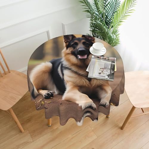YYHHAOFA Runde dekorative Tischdecke, Motiv: Deutscher Schäferhund, für den Innen- und Außenbereich, auf runden Tischen wie Couchtischen, Esstischen und Bauernhoftischen, 152,4 cm YYHHAOFA Runde dekorative Tischdecke, Motiv: Deutscher Schäferhund, für den Innen- und Außenbereich, auf runden Tischen wie Couchtischen, Esstischen und Bauernhoftischen, 152,4 cm von YYHHAOFA