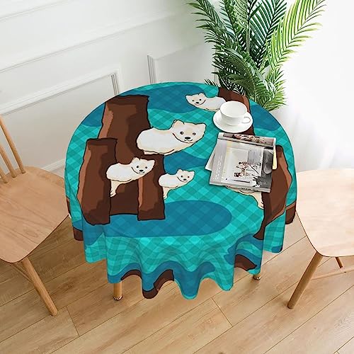 YYHHAOFA Tischdecke – waschbar und wiederverwendbar, perfekt als Schutz und Dekoration für den Esstisch, 152,4 cm. Niedlicher kleiner Waschbär-Druck YYHHAOFA Tischdecke – waschbar und wiederverwendbar, perfekt als Schutz und Dekoration für den Esstisch, 152,4 cm. Niedlicher kleiner Waschbär-Druck von YYHHAOFA