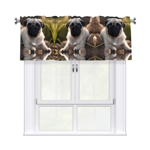 YYHWHJDE Kurze Vorhänge mit Mops-Motiv, mit Volantstange, 137,2 x 45,7 cm, Lichtfilterung, einfache Installation für Küche, Bad, Waschküche, Studio YYHWHJDE Kurze Vorhänge mit Mops-Motiv, mit Volantstange, 137,2 x 45,7 cm, Lichtfilterung, einfache Installation für Küche, Bad, Waschküche, Studio von YYHWHJDE