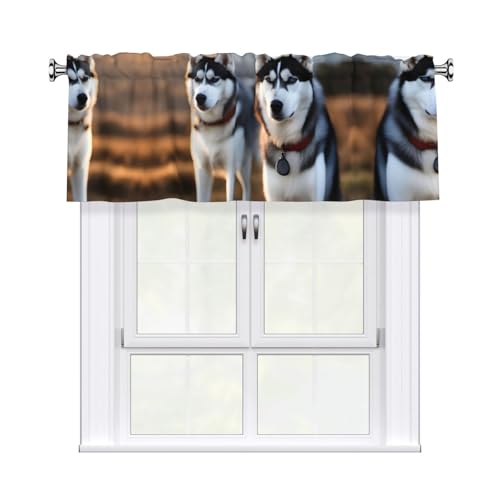 YYHWHJDE Kurzgardinen mit Husky-Motiv, mit Volantstange, 137,2 x 45,7 cm, für Küche, Badezimmer, Waschküche, Studio, Heimdekoration von YYHWHJDE