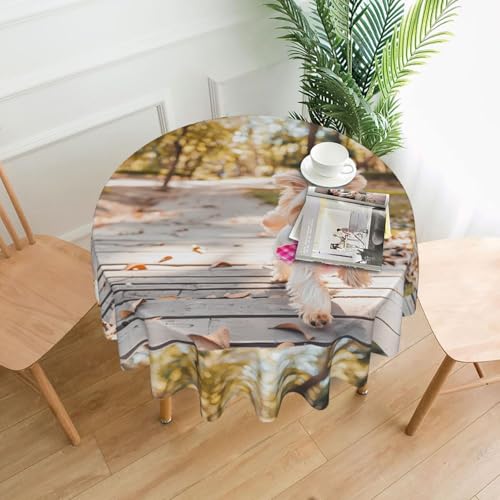 YYHWHJDE Runde dekorative Tischdecke, 152,4 cm, Motiv: Hund läuft auf You, für den Innen- und Außenbereich, auf runden Tischen wie Couchtischen, Esstischen und Bauernhoftischen YYHWHJDE Runde dekorative Tischdecke, 152,4 cm, Motiv: Hund läuft auf You, für den Innen- und Außenbereich, auf runden Tischen wie Couchtischen, Esstischen und Bauernhoftischen von YYHWHJDE